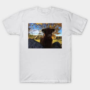 Scottish Highland Cattle Calf 1833 T-Shirt